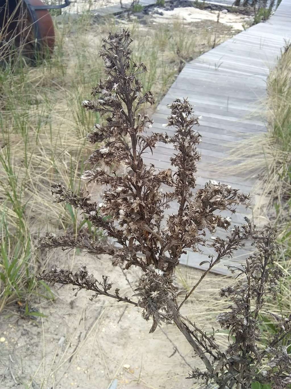 Swan Point State Natural Area | Brick, NJ 08723, USA