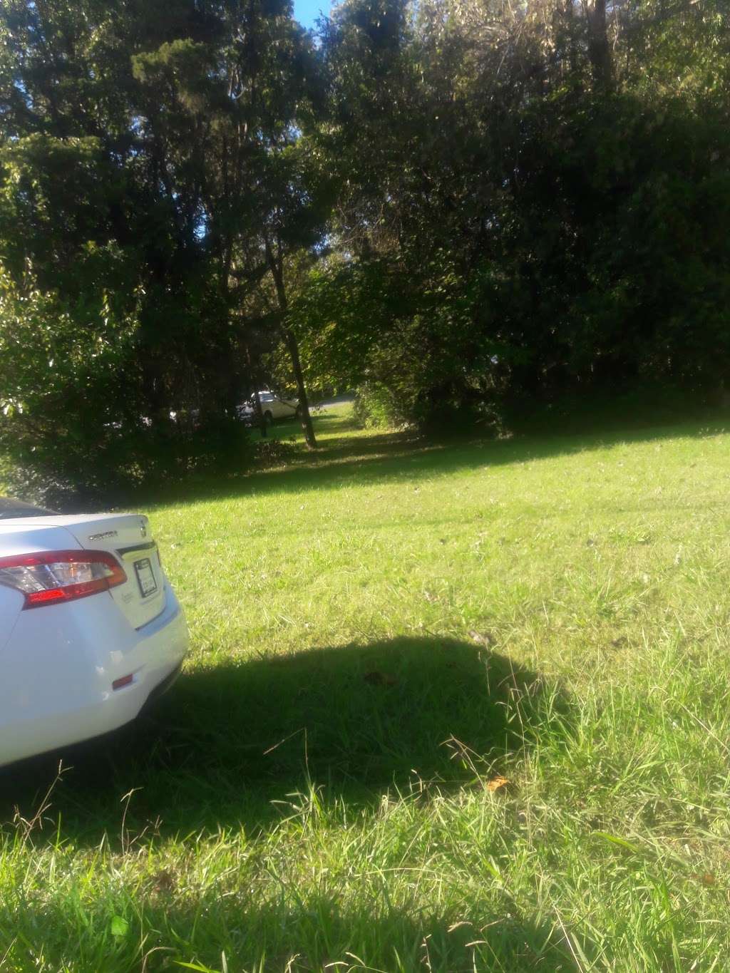 L & D Flowers of Elegance | 3913 W Sugar Creek Rd, Charlotte, NC 28262, USA | Phone: (704) 688-0735