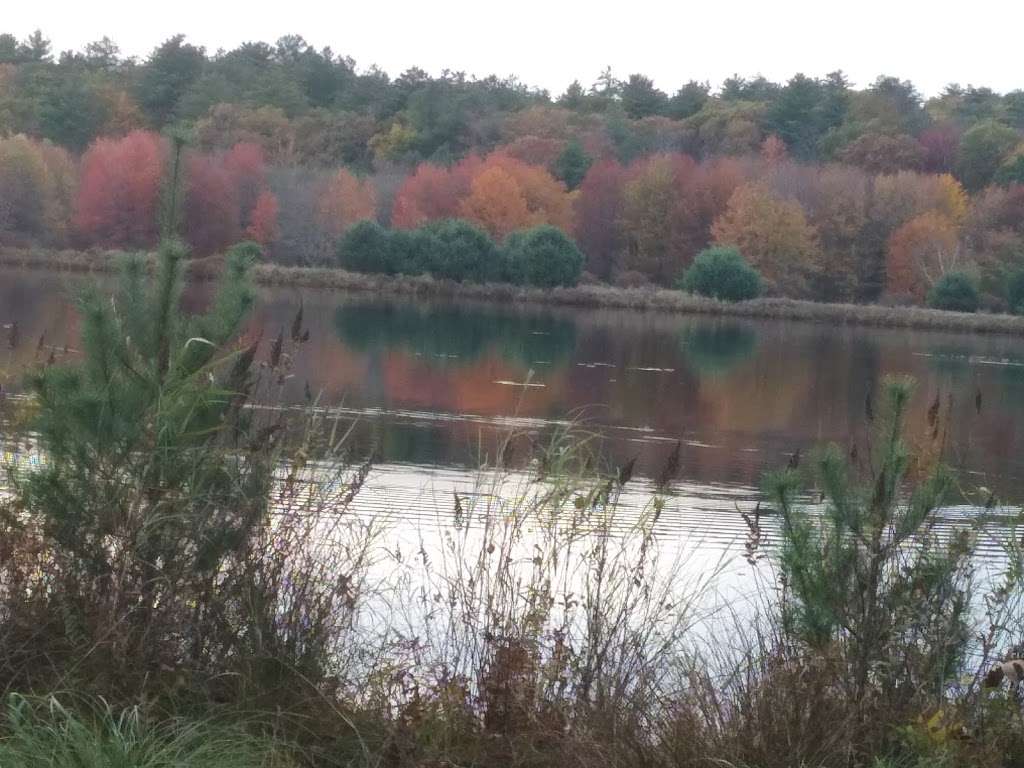 Marcel Lake Cement Pond | 12259 Marcel Dr, Dingmans Ferry, PA 18328, USA