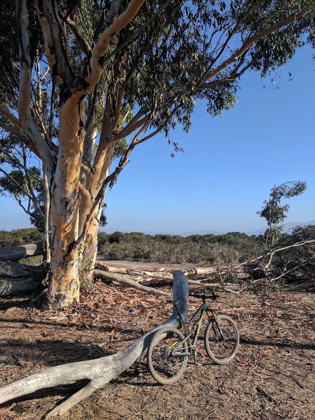 Del Mar Mesa Preserve | Del Mar Mesa Road, San Diego, CA 92130, USA | Phone: (619) 236-6611