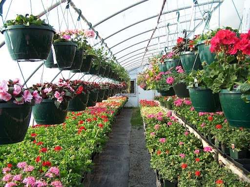 Wisspering Pine Garden Center | 1400 PA-739, Dingmans Ferry, PA 18328, USA | Phone: (570) 686-4849