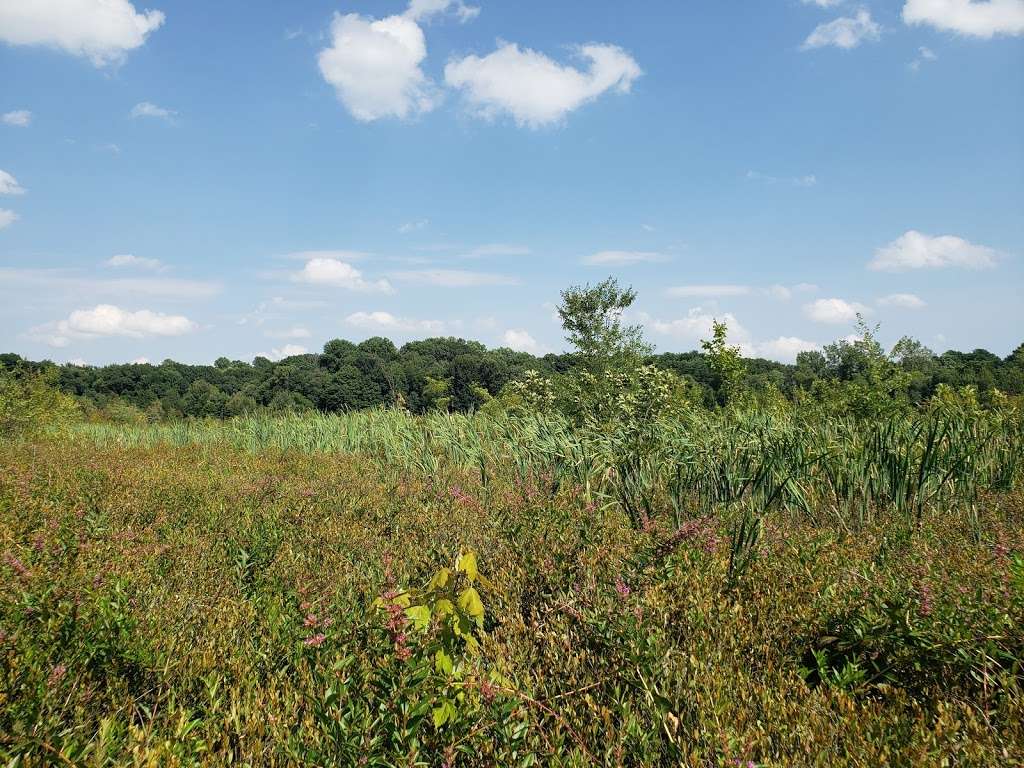 Mud Lake Bog Nature Preserve | 905 E Elm Valley Rd, Buchanan, MI 49107, USA