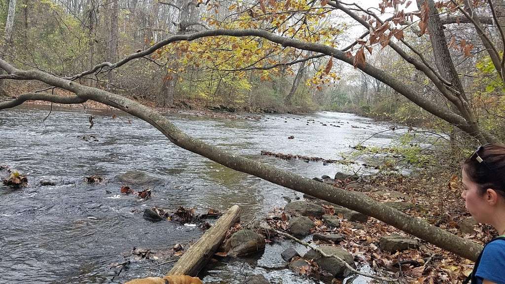 Point Mountain Reservation | Point Mountain Rd, Glen Gardner, NJ 08826, USA
