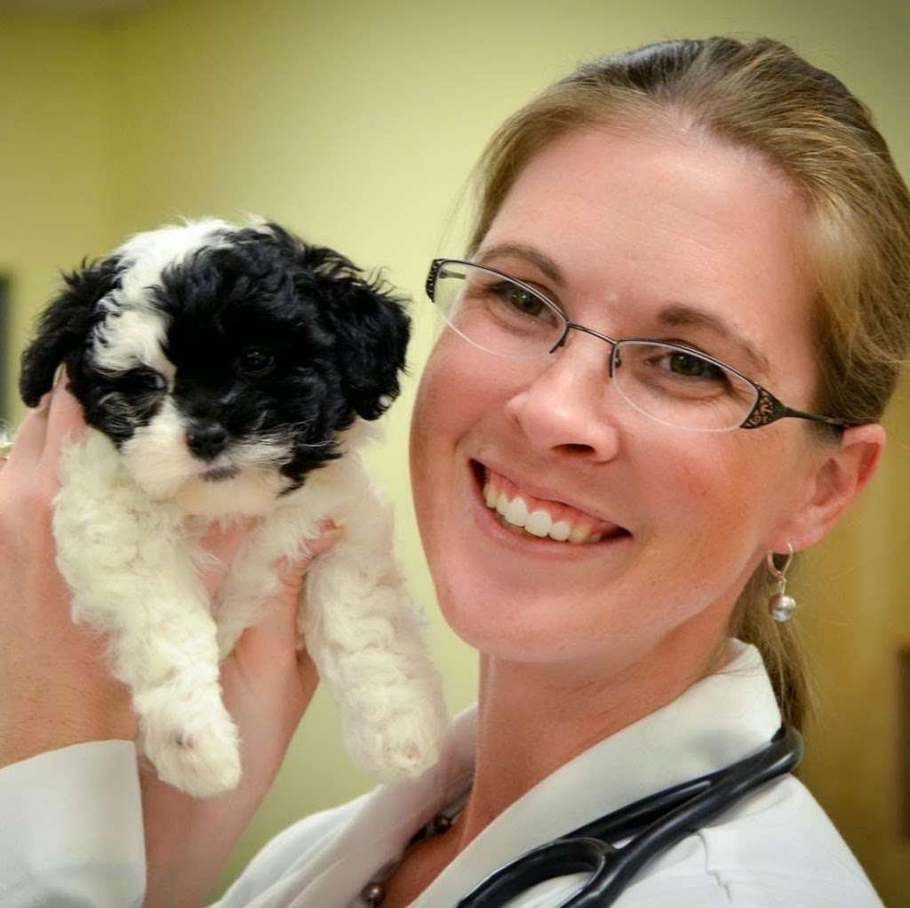 Indian Trail Animal Hospital | 160 Corporate Blvd, Indian Trail, NC 28079, USA | Phone: (704) 821-7040