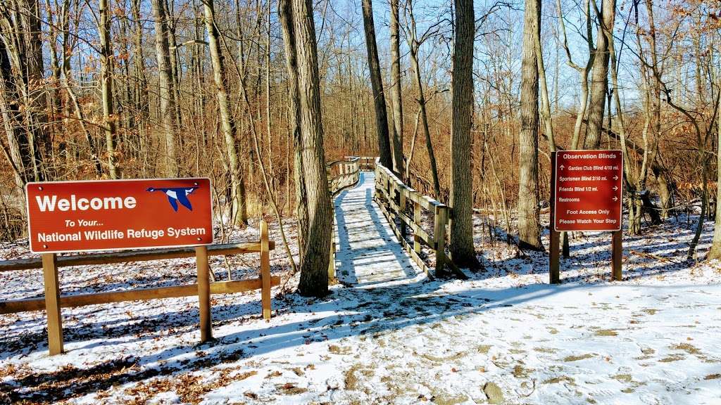 Great Swamp National Wildlife Refuge Wilderness Area | 220 Long Hill Rd, Gillette, NJ 07933, USA | Phone: (973) 425-1222