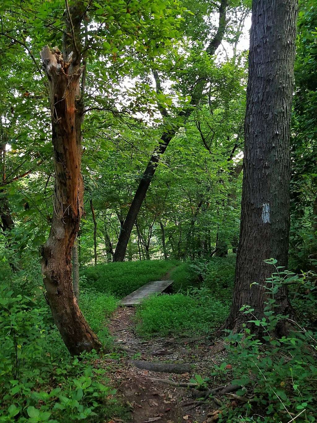 Monocacy National Battlefield-Thomas Farm Loop Trail | Unnamed Road, Frederick, MD 21704, USA