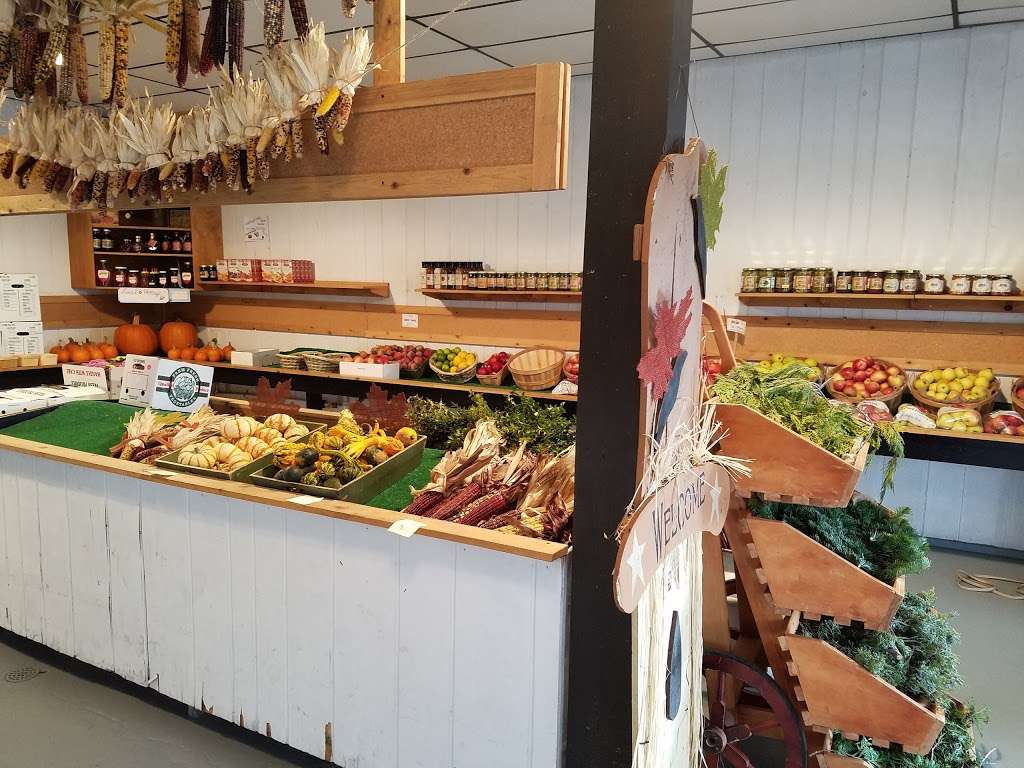 Kleins Farm & Garden Market | 38W716 Hwy 20, Elgin, IL 60124, USA | Phone: (847) 697-4910