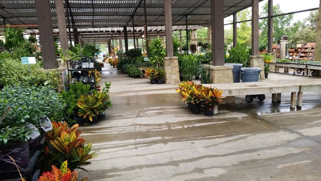 Calloways Nursery | 291 E Southlake Blvd, Southlake, TX 76092, USA | Phone: (817) 416-0736