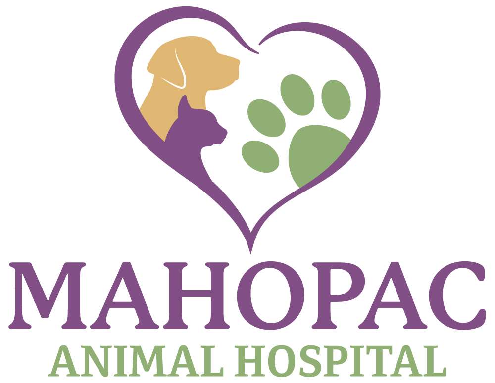 Mahopac Animal Hospital | 540 US-6, Mahopac, NY 10541, USA | Phone: (845) 628-2700