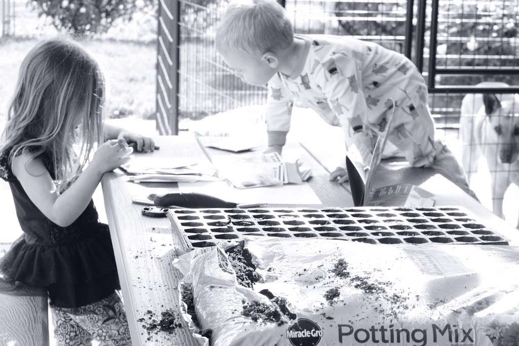 unruly tuber home gardening classes | 17200 High Country Cir, Perris, CA 92570, USA | Phone: (951) 852-5032