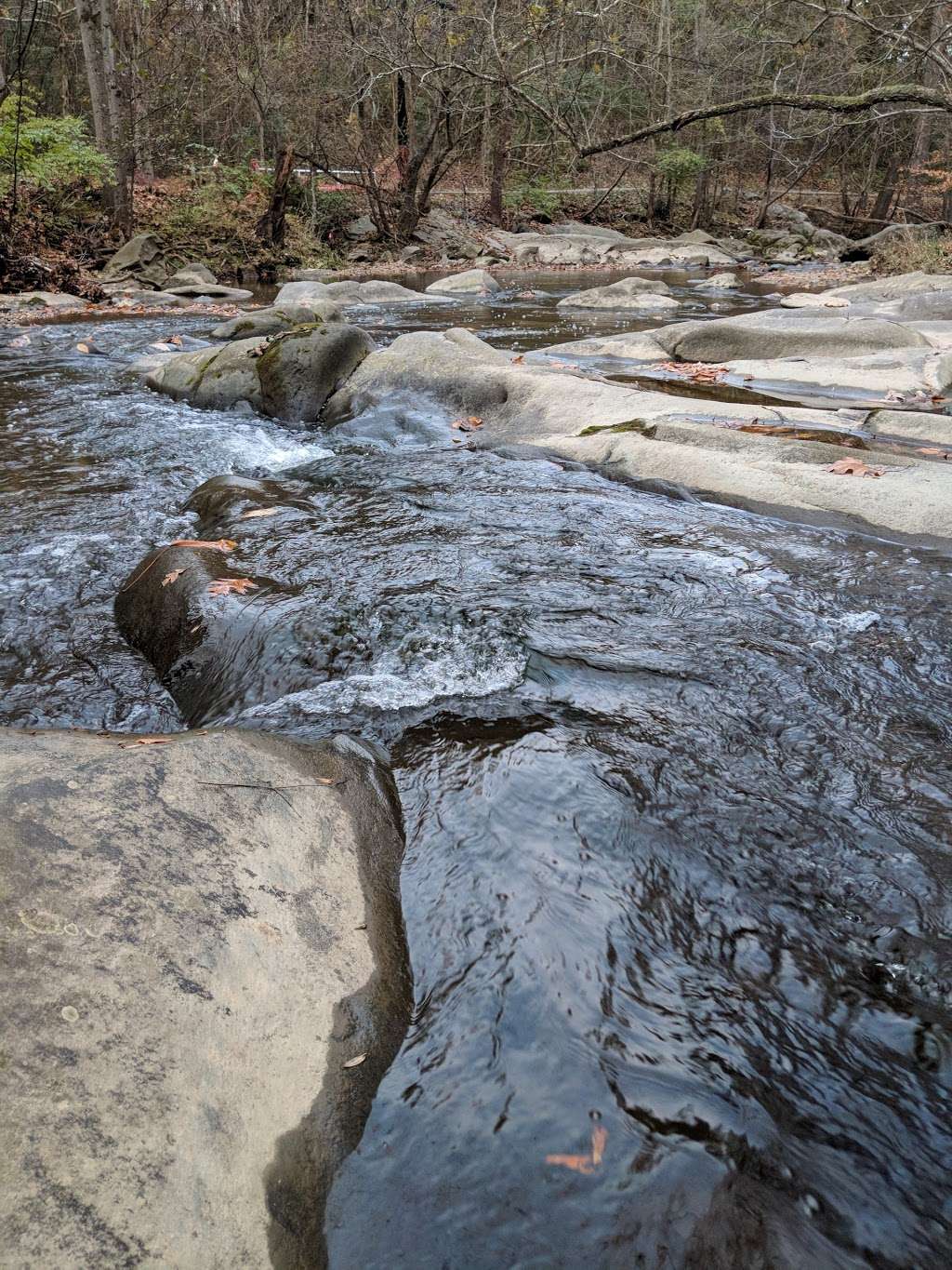 Paint Branch Park | Adelphi, MD 20783, USA