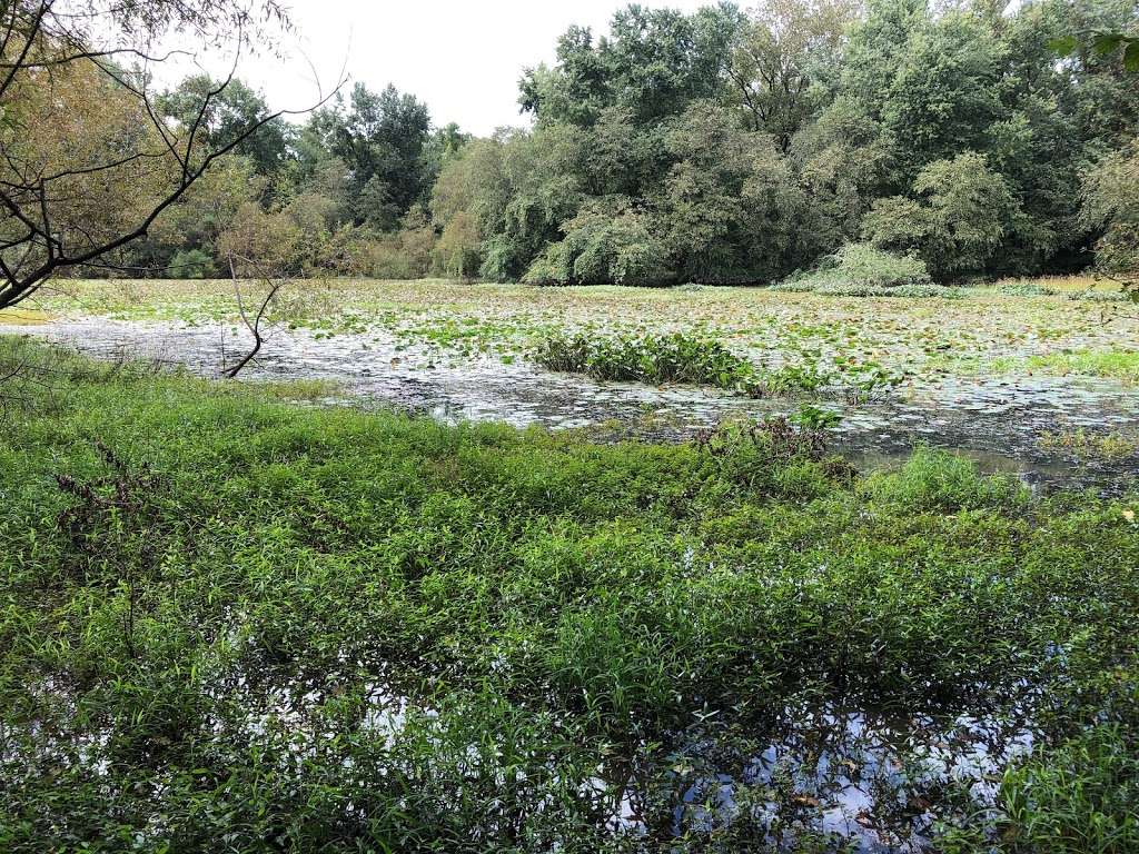 Two Sisters Wetland Preserve Property | Riverside Park, Wayne, NJ 07470