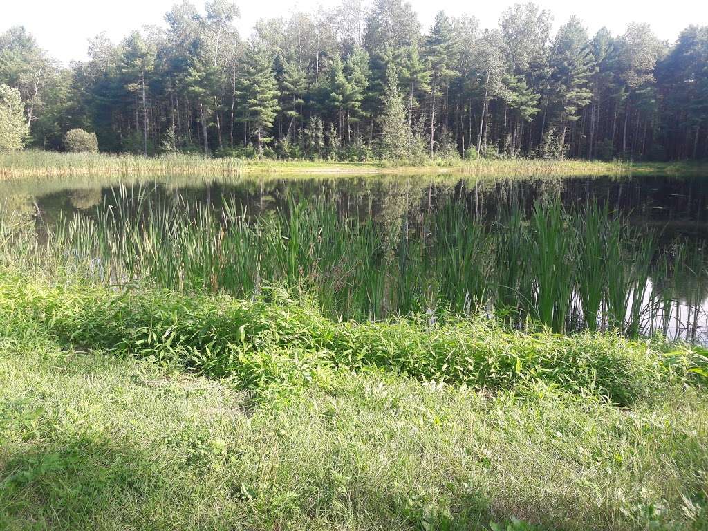 Nashua River Rail Trail Head | Head,, Nashua River Rail Trail, Nashua, NH 03062, USA