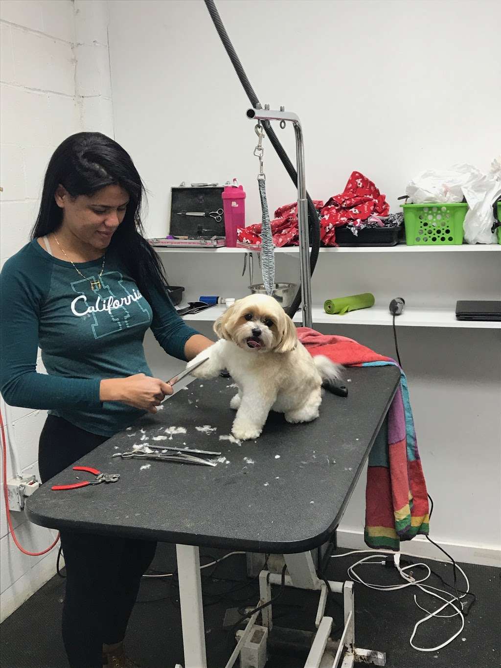 All Fur Love Pet Grooming | 126 Main St, Medway, MA 02053, USA | Phone: (508) 533-6228