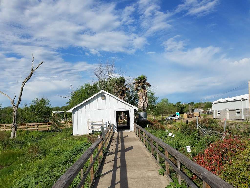 Wetlands Exhibit - Sea center | 980-1000 Medical Dr, Lake Jackson, TX 77566, USA