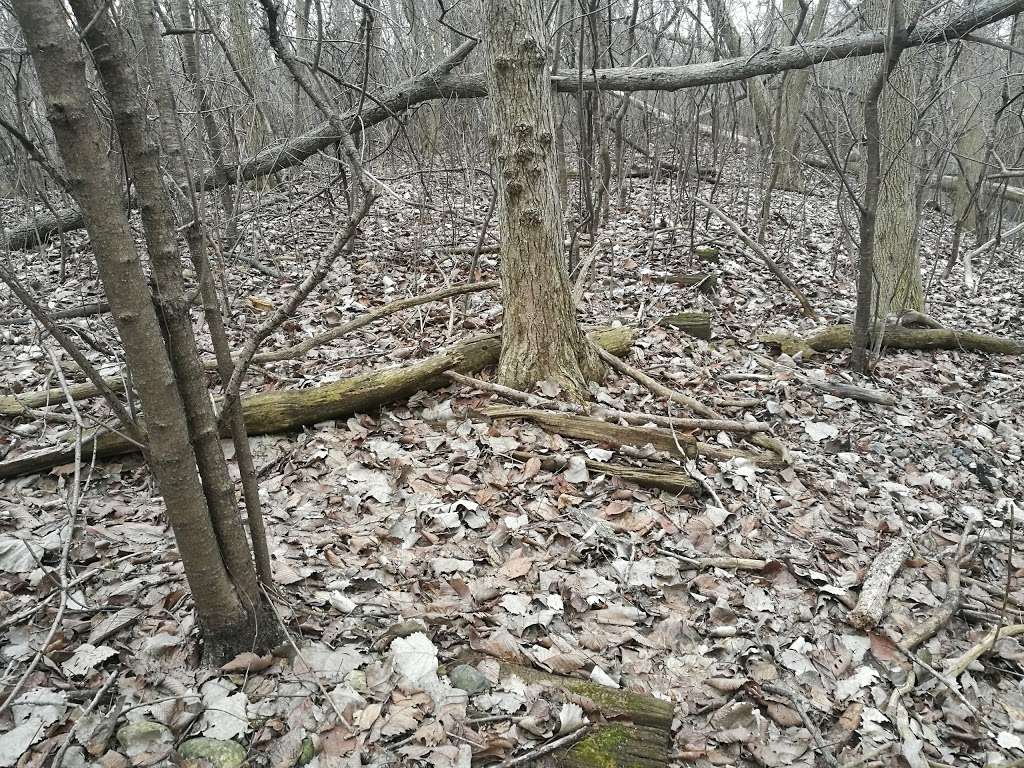 Cook County Forest Preserve Bike Path | River, Wilmette, IL 60091, USA