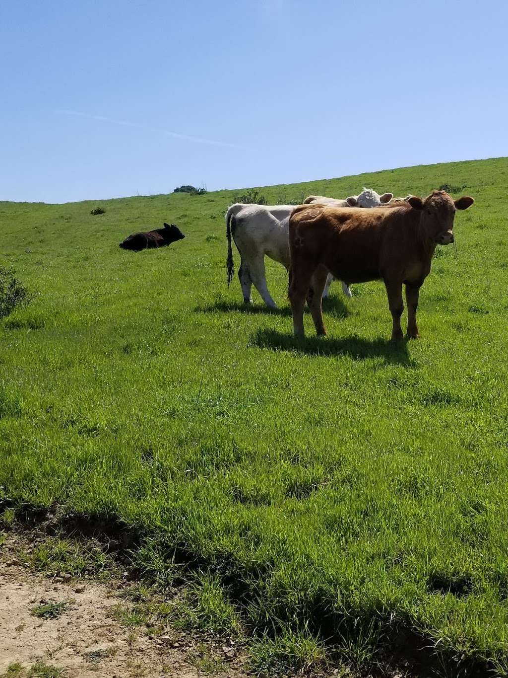 Dry Creek Pioneer Regional Park | 1320 Garin Ave, Union City, CA 94587, USA | Phone: (888) 327-2757