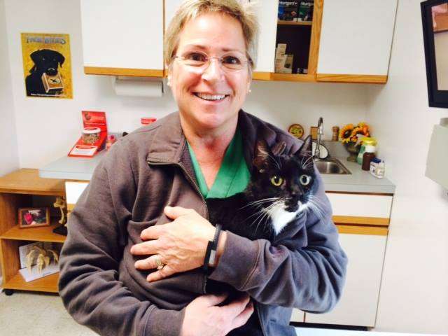 Family Veterinary Services | 402 US-206, Montague Township, NJ 07827, USA | Phone: (973) 293-7486