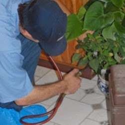 Standard Pest Control | A, 429 Lincoln Blvd, Middlesex, NJ 08846, USA | Phone: (732) 529-5944