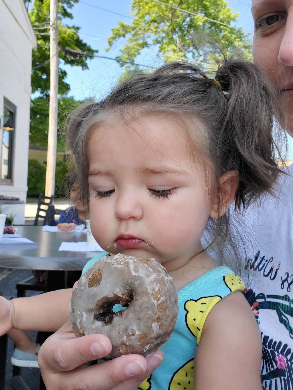 Red Coach Donuts | 5811 St Joseph Ave, Stevensville, MI 49127, USA | Phone: (269) 281-0276