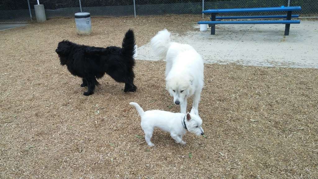 Laguna Niguel Dog Park | Unnamed Road, Laguna Niguel, CA 92677, USA | Phone: (714) 420-4882