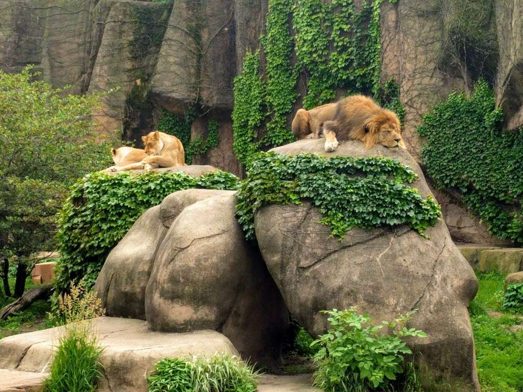 Lincoln Park Zoo | 2001 N Clark St, Chicago, IL 60614, USA | Phone: (312) 742-2000