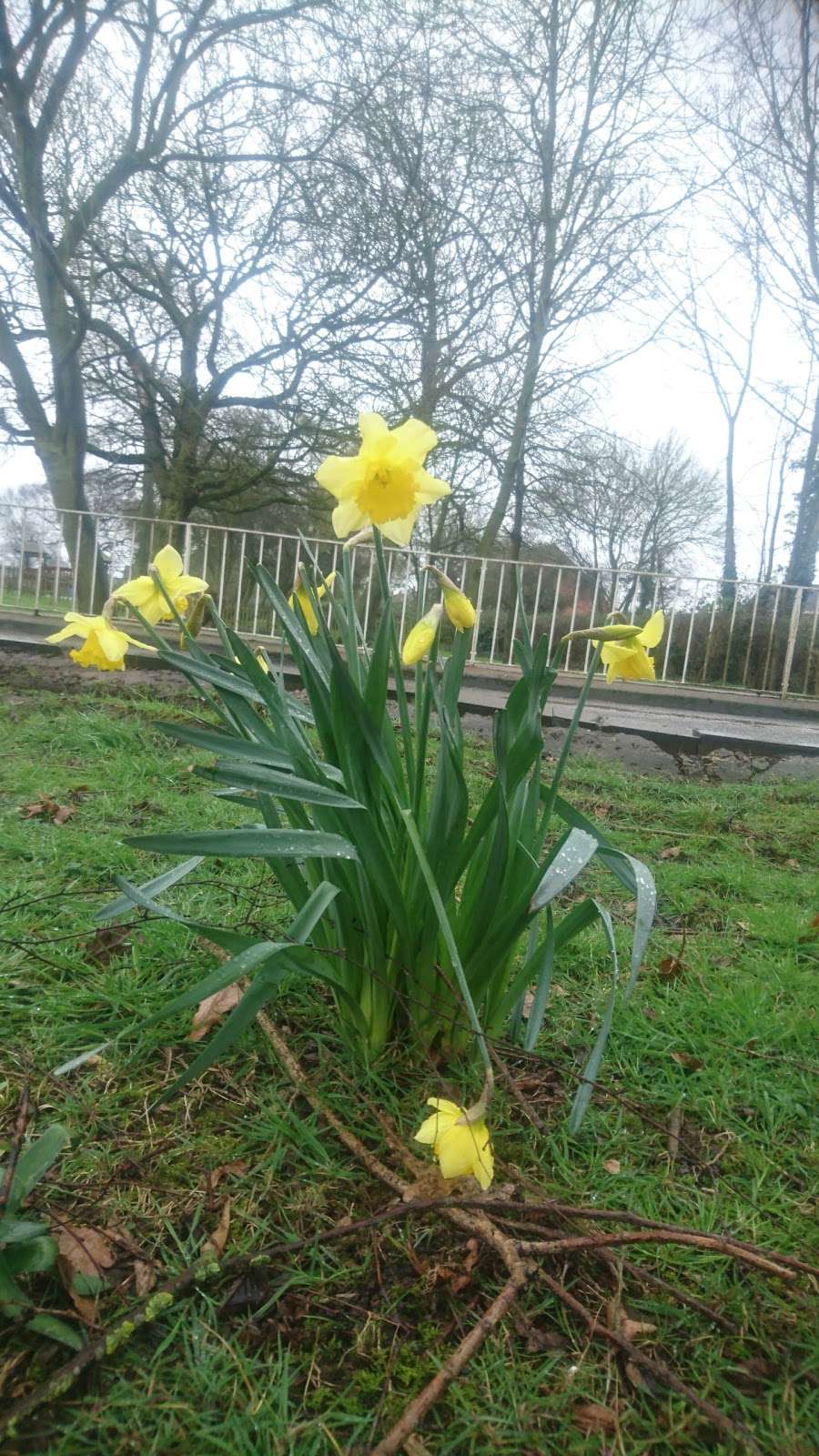 North Weald Bassett Parish Council | 138 High Rd, North Weald Bassett, Epping CM16 6BZ, UK | Phone: 01992 523825