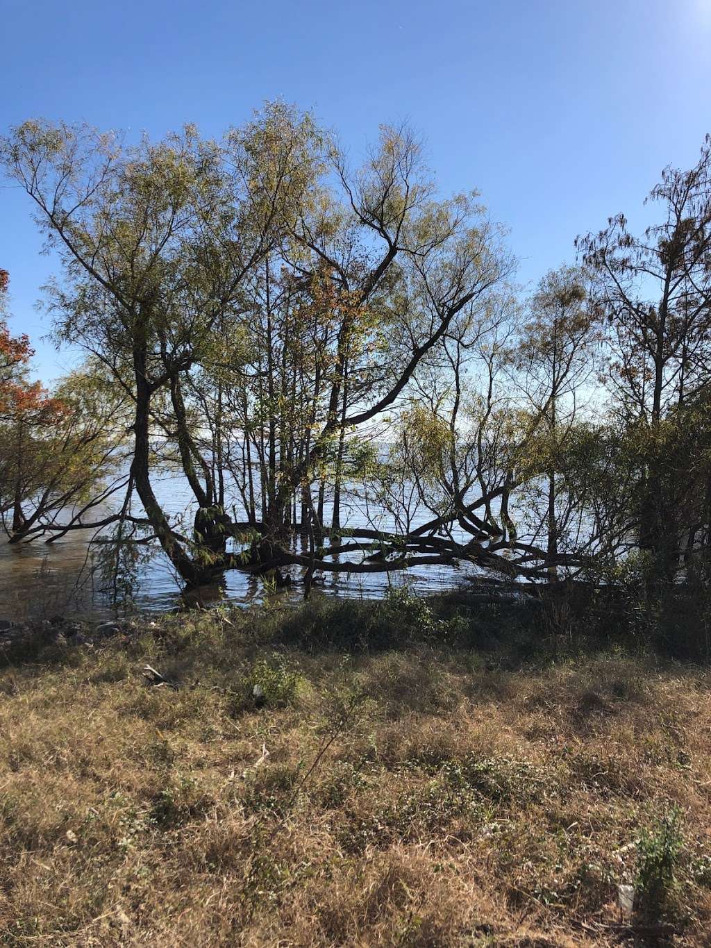 Turtle Bayou Nature Preserve | Wallisville, TX 77597, USA