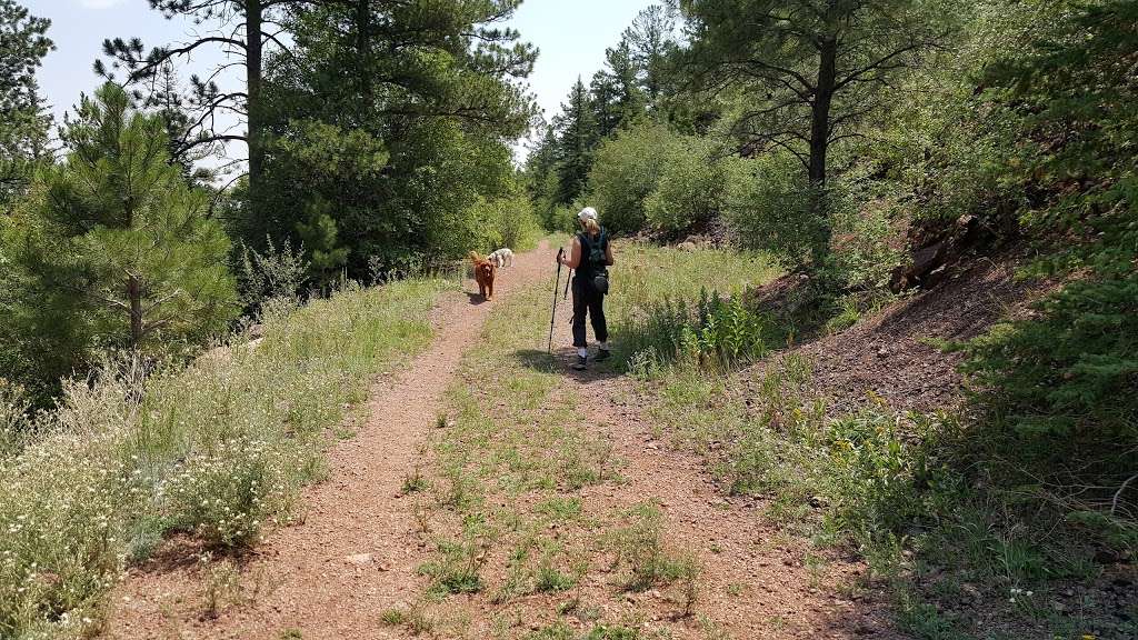 Limbaugh Canyon Trail Head | 557 Rock Ridge Rd, Palmer Lake, CO 80133, USA