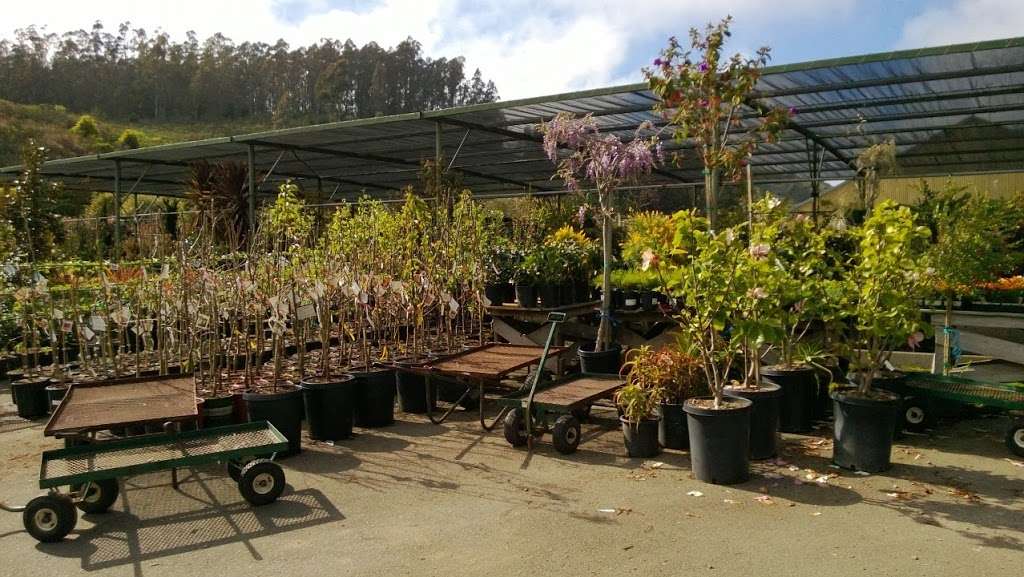 Bongards Treescape Nursery | 12460 San Mateo Rd, Half Moon Bay, CA 94019, USA | Phone: (650) 726-4568