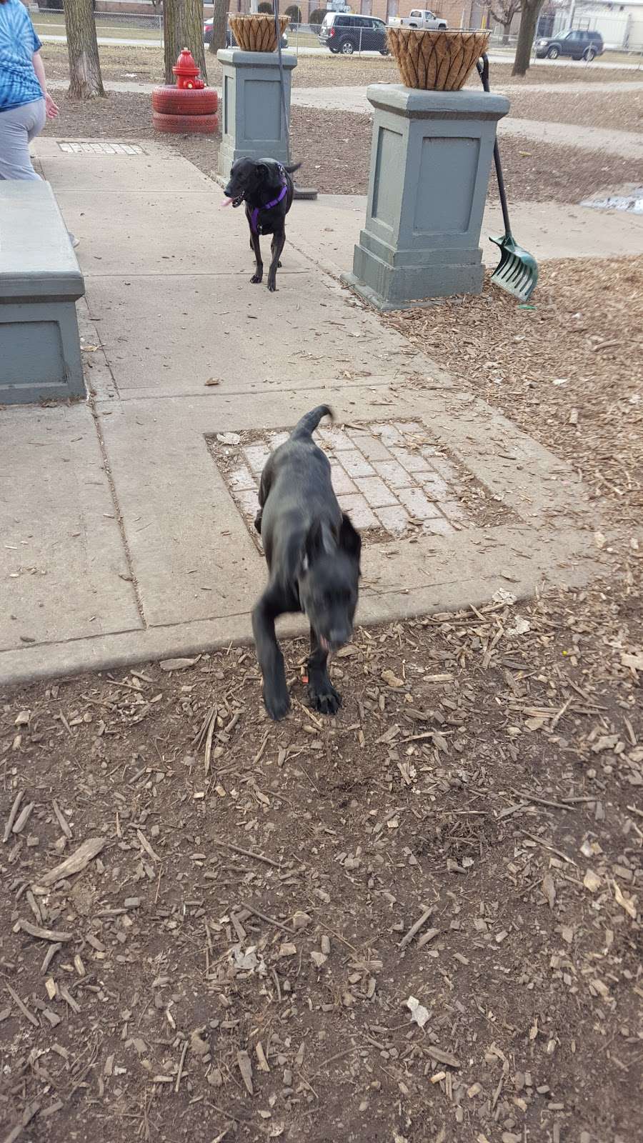 Baileys Crossing Dog Park | 9910 S, Melvina Ave, Oak Lawn, IL 60453 | Phone: (708) 857-2200