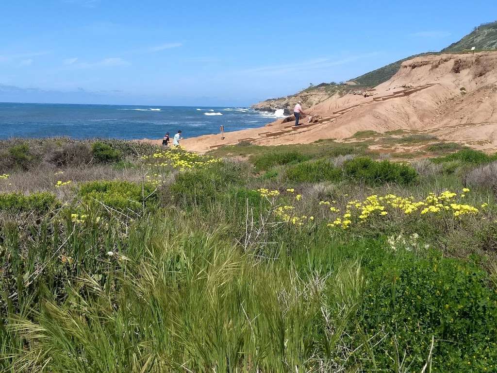 Point Loma Tide Pools | 1800 Cabrillo Memorial Dr, San Diego, CA 92106, USA | Phone: (619) 557-5450