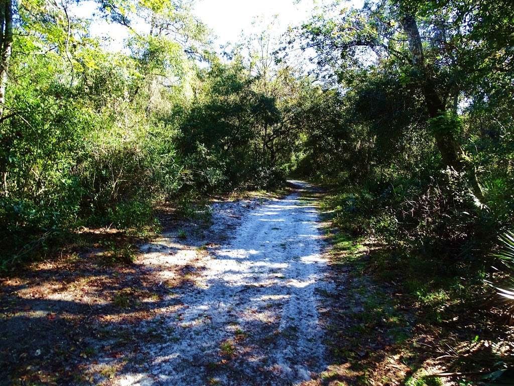 Flat Island Preserve | 2388 Owens Rd, Leesburg, FL 34748 | Phone: (352) 343-3777