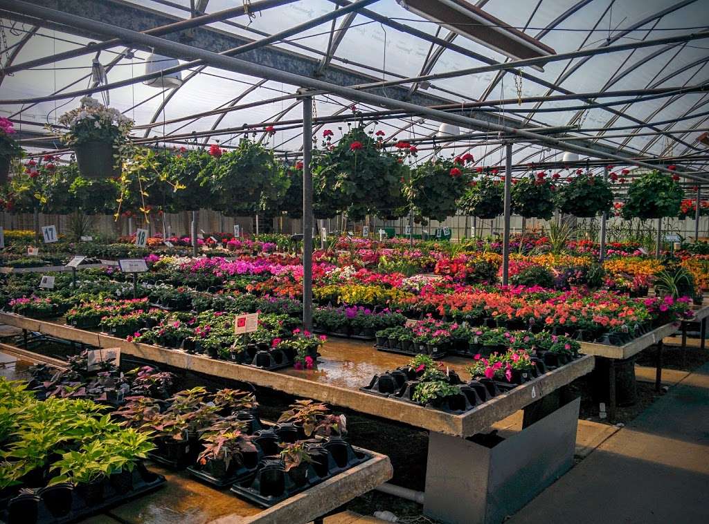 Esbenshades Garden Centers & Greenhouse | 546 E 28th Division Hwy, Lititz, PA 17543, USA | Phone: (717) 626-7007