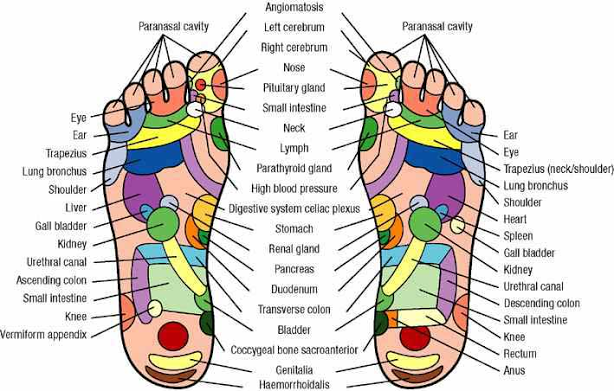 Healing Garden Reflexology | 5627 W Lovers Ln, Dallas, TX 75209, USA | Phone: (214) 238-6366