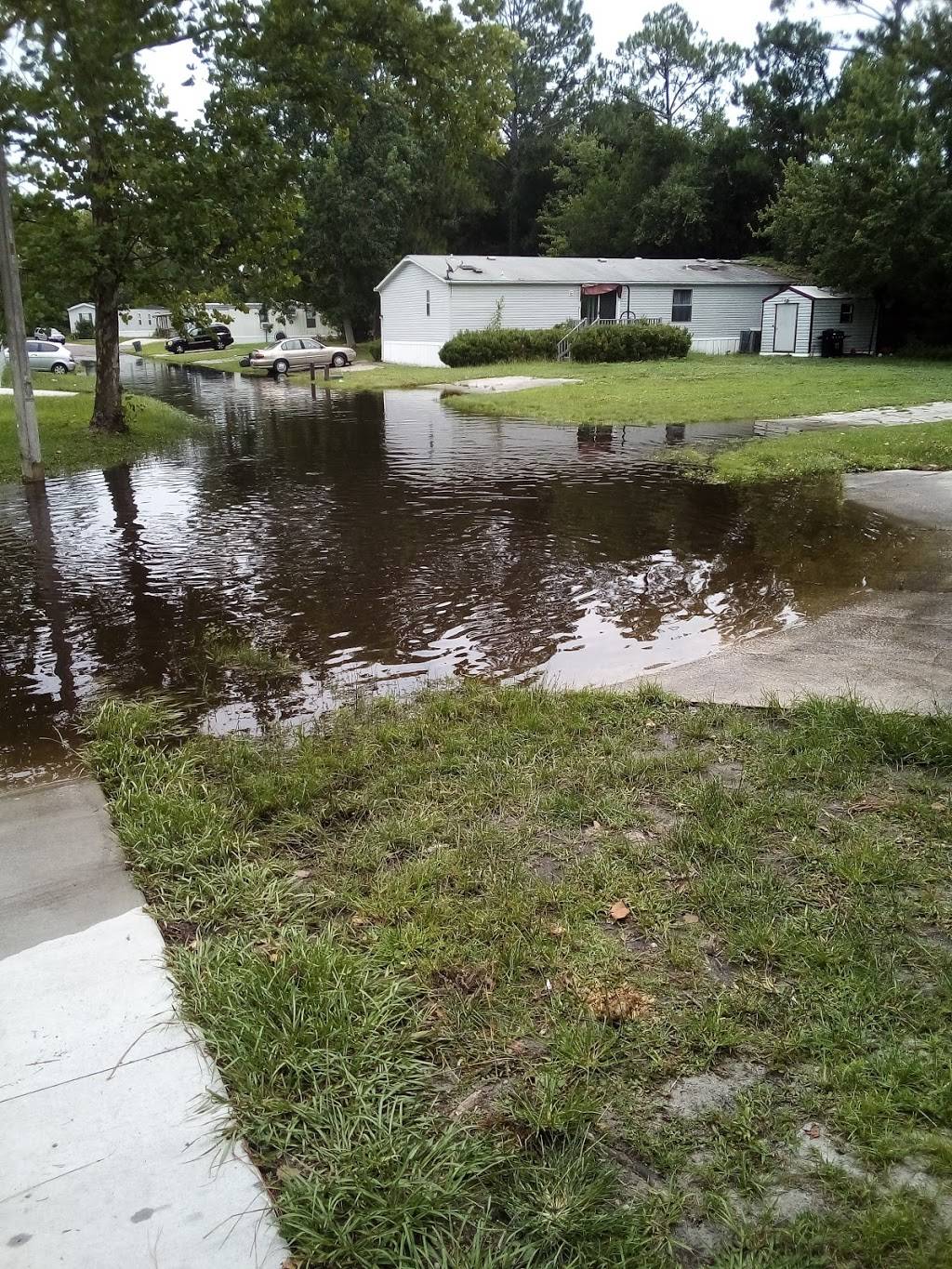 Continental Village MHC | 5400 Collins Rd, Jacksonville, FL 32244, USA | Phone: (904) 204-5162