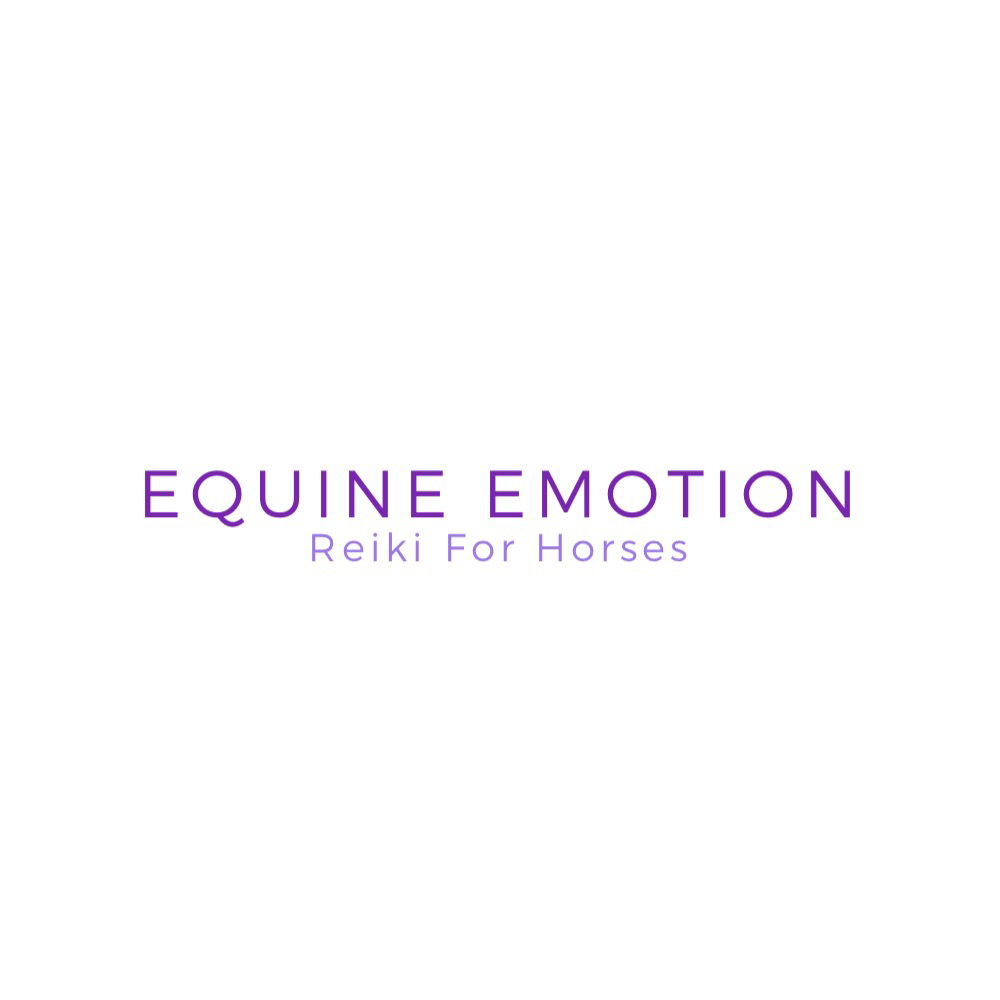 Equine emotion | 45 High St, Watton at Stone, Hertford SG14 3SX, UK | Phone: 07342 966614