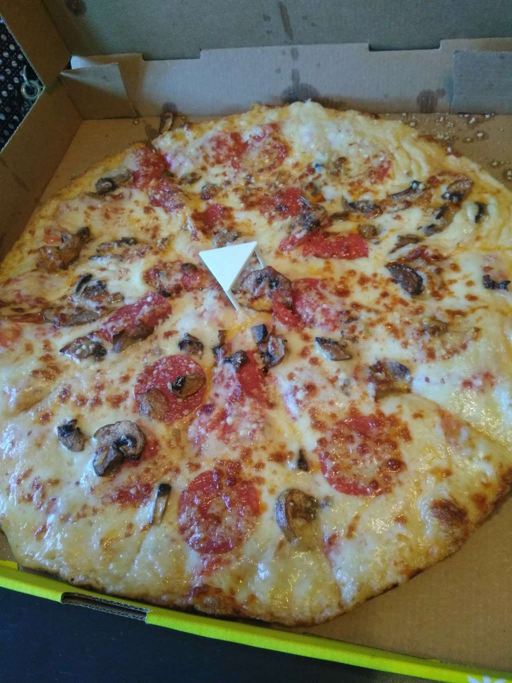 Hungry Howies Pizza | 108 Commonwealth Ave N, Polk City, FL 33868, USA | Phone: (863) 984-2440