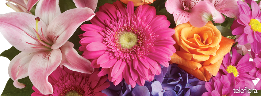 Glidden Campus Florist & Greenhouse | 917 W Lincoln Hwy, DeKalb, IL 60115, USA | Phone: (815) 758-4455