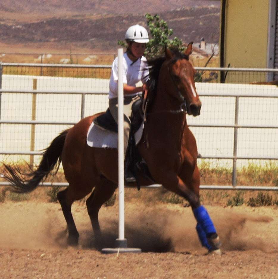 The Riding Academy | 30300 Garbani Rd, Menifee, CA 92584 | Phone: (951) 301-9272