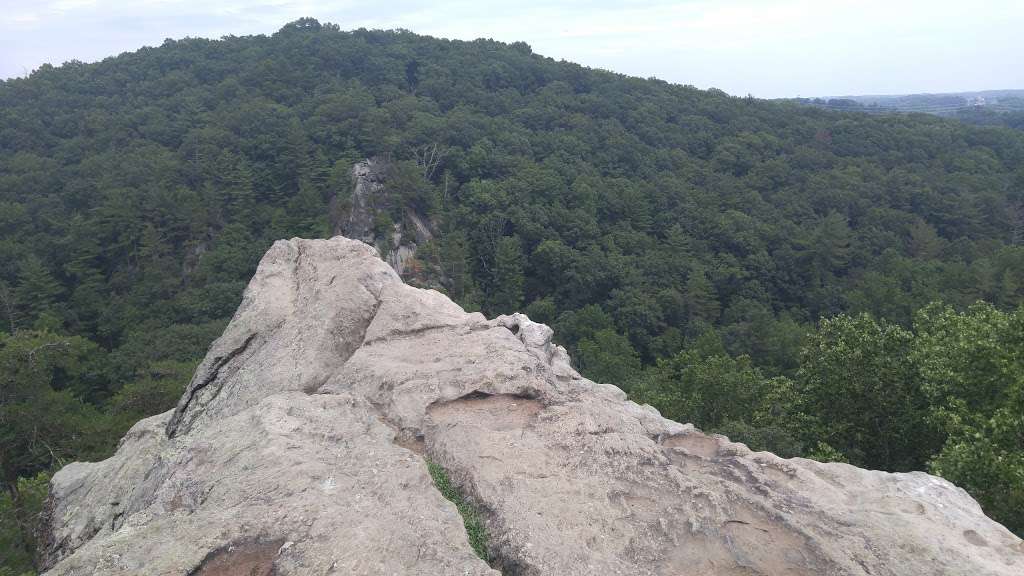 Rocks State Park | 3318 Rocks Chrome Hill Rd, Jarrettsville, MD 21084 | Phone: (410) 557-7994