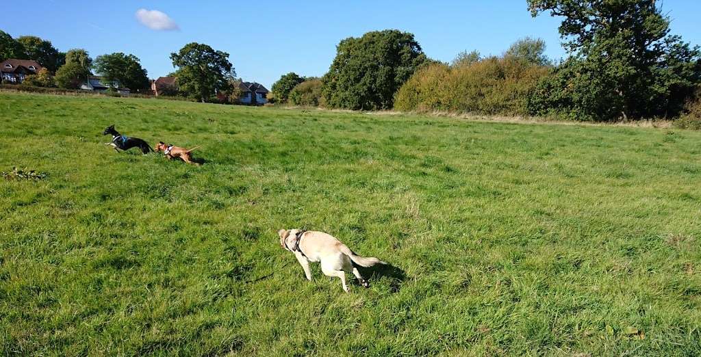 Byng Road Playing Fields | Barnet EN5 4NS, UK