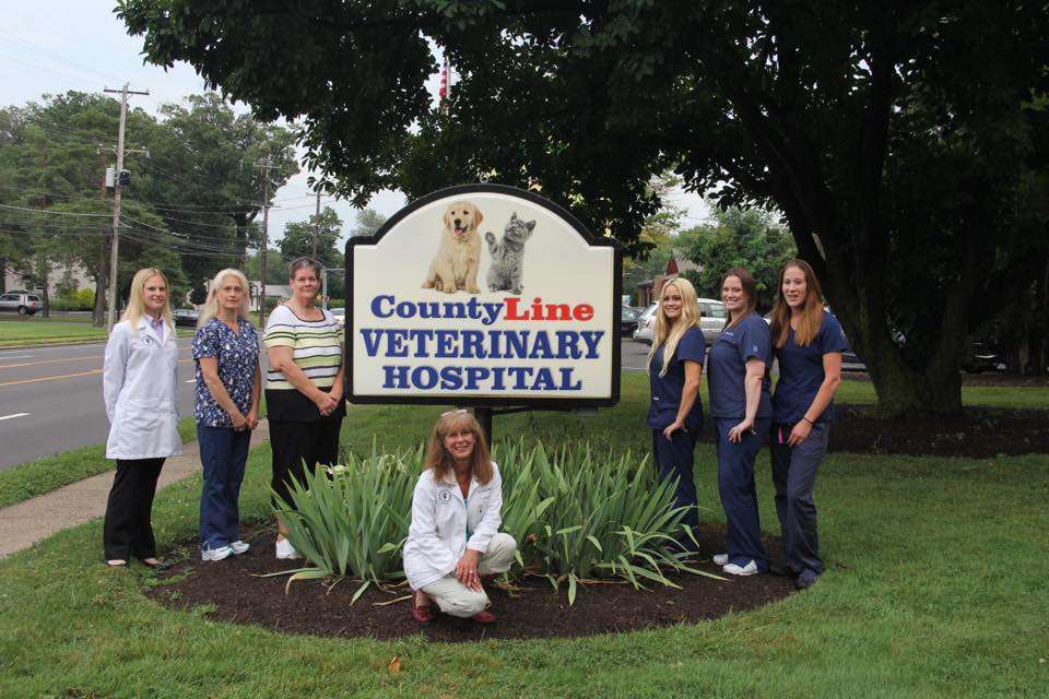 County Line Veterinary Hospital | 325 W County Line Rd, Hatboro, PA 19040, USA | Phone: (215) 675-0533