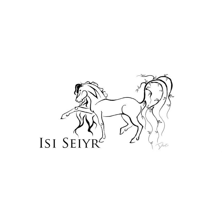 Isi Seiyr School of Riding - Elegant Dance Riding Lessons & Trai | 15131 Old Richmond Rd, Sugar Land, TX 77498, USA | Phone: (713) 444-4750
