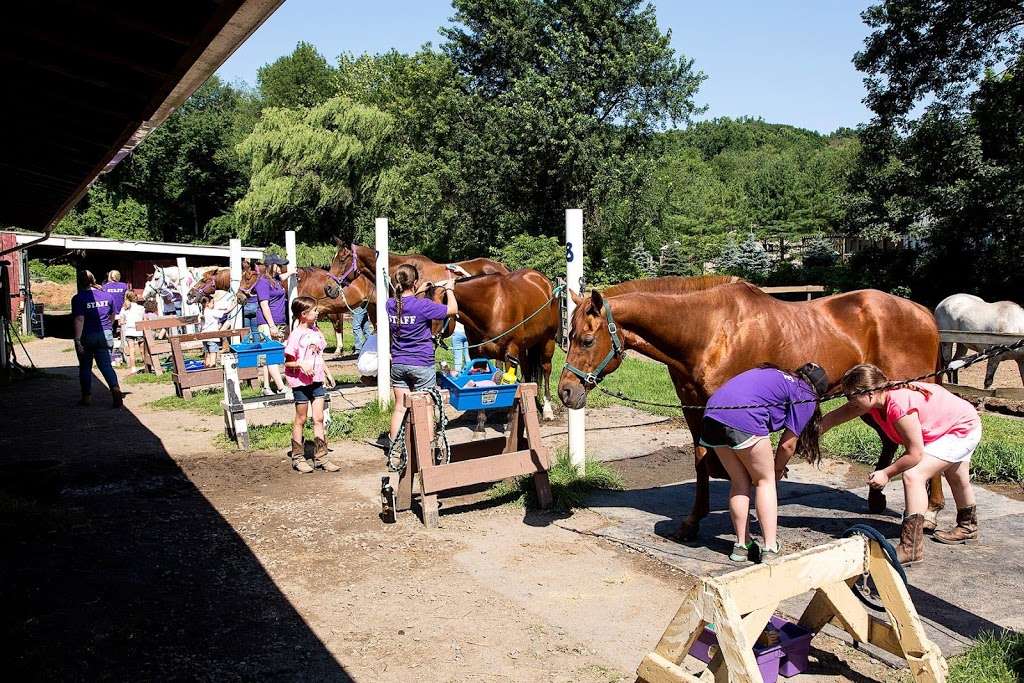 Nickel-O Farms | 369 Strawtown Rd, West Nyack, NY 10994, USA | Phone: (845) 353-8006