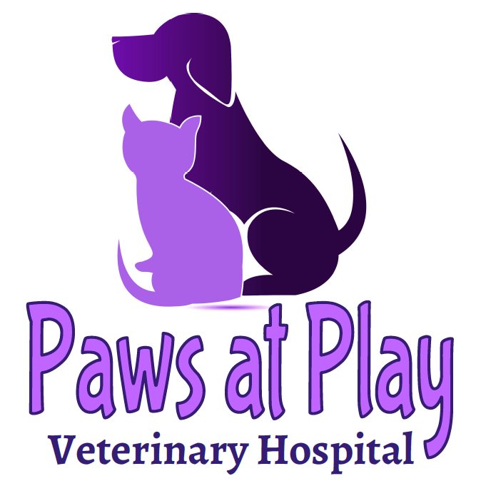 Paws At Play Veterinary Hospital | 9108 Glenwood Ave, Raleigh, NC 27617, USA | Phone: (919) 785-9410