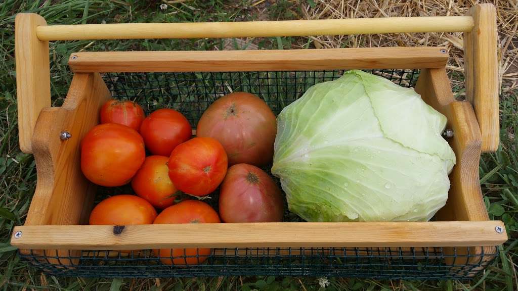 Stone Barn Community Garden | 3851 Park Mills Rd, Frederick, MD 21704 | Phone: (301) 788-2784