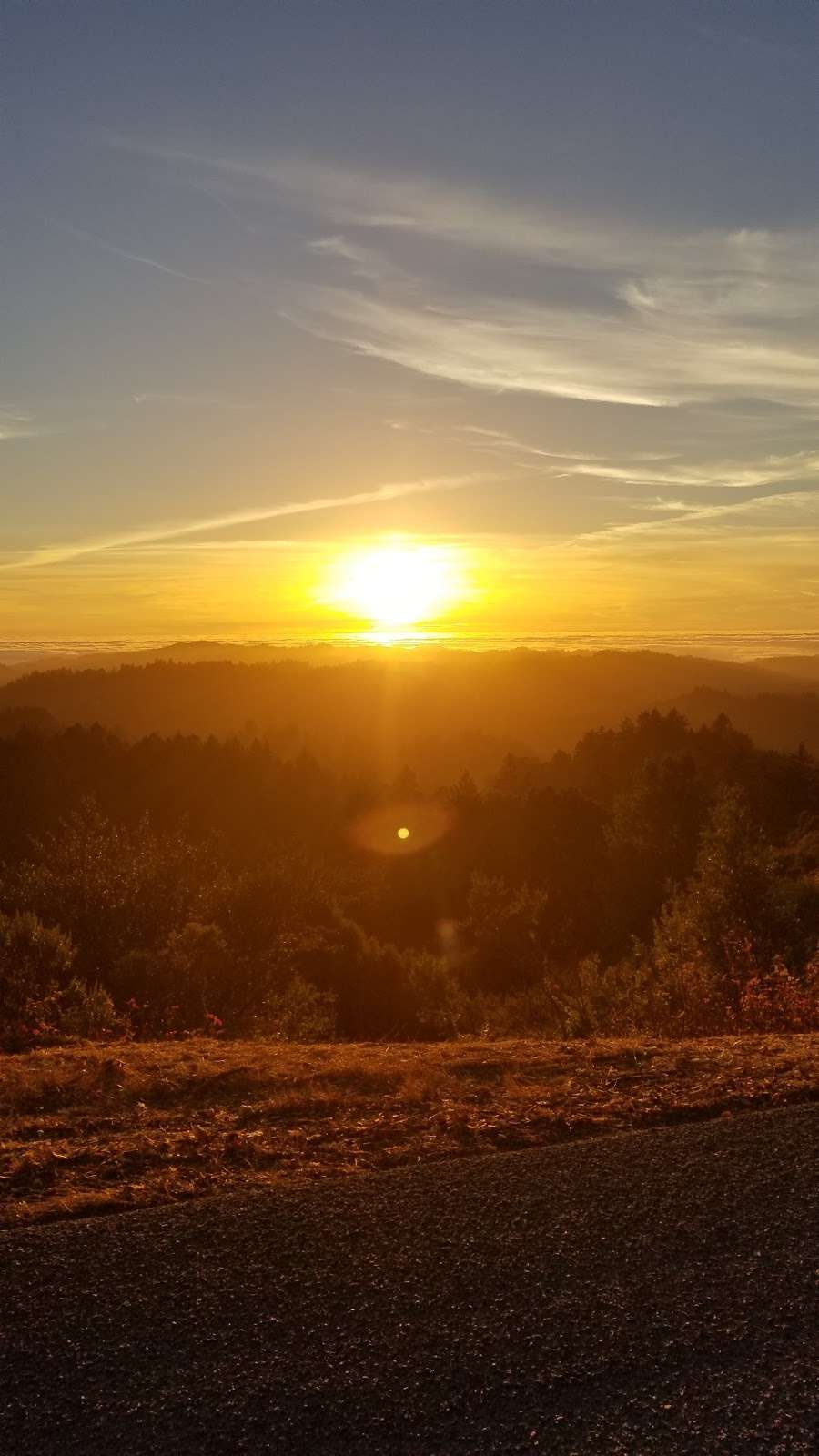 Windy Hill | Spring Ridge Trail, Portola Valley, CA 94028, USA