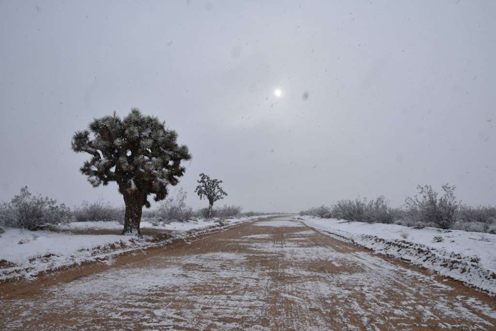 Owl Canyon Campground | Barstow, CA 92311, USA | Phone: (760) 252-6000