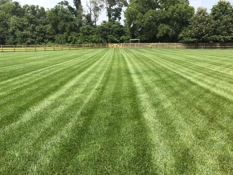 Lawns Unlimited Ltd | 15089 Coastal Hwy, Milton, DE 19968 | Phone: (302) 645-5296